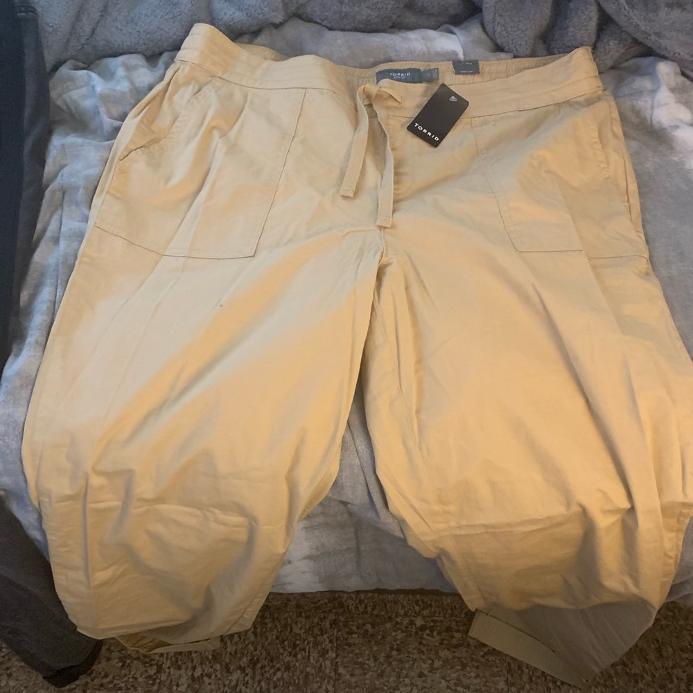Brand new Torrid pants!!!